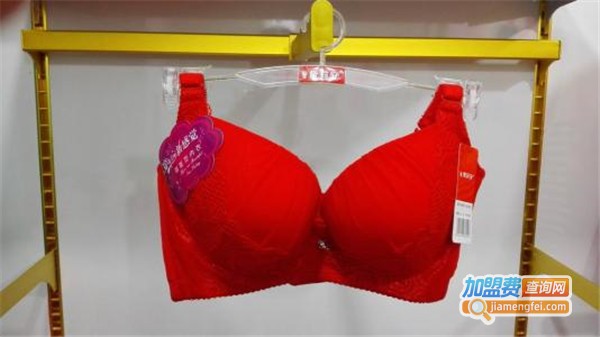 蜜妮安内衣加盟费