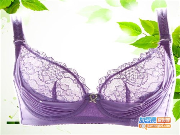 诗丹妮内衣加盟门店