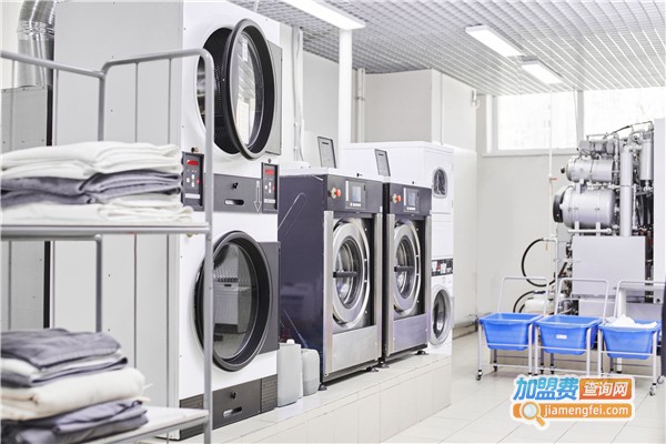 皇家至尊干洗加盟费