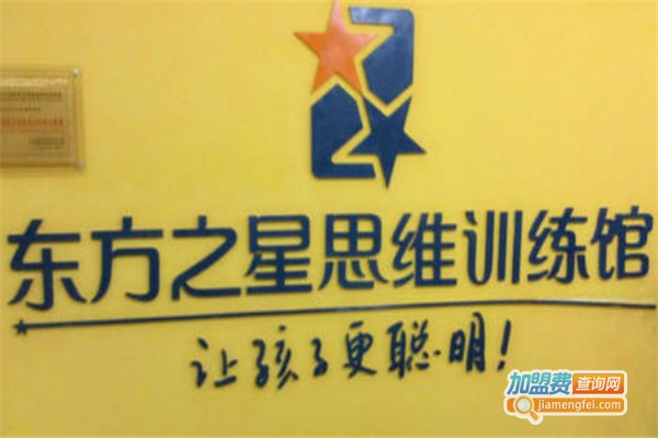 东方之星思维训练