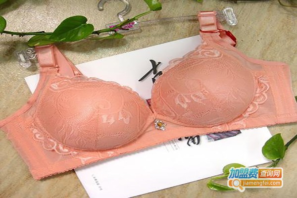 婷玛内衣加盟费