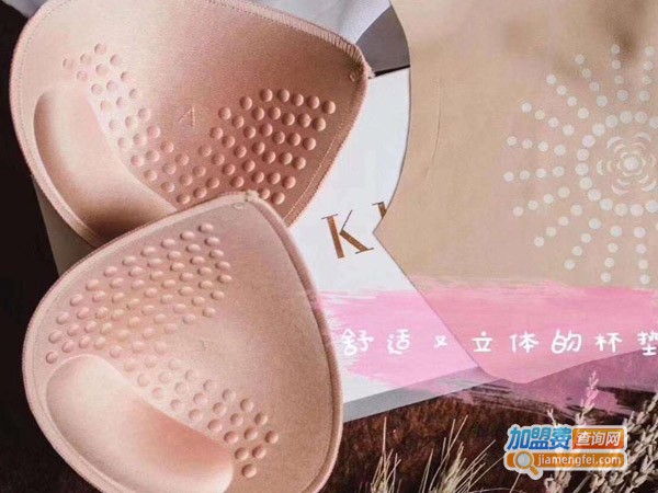 达荣内衣加盟费