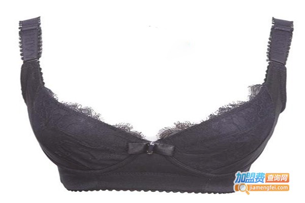 禾风内衣加盟费