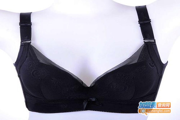 韩姿娜时尚内衣