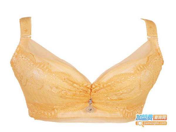 诗丹妮内衣加盟门店