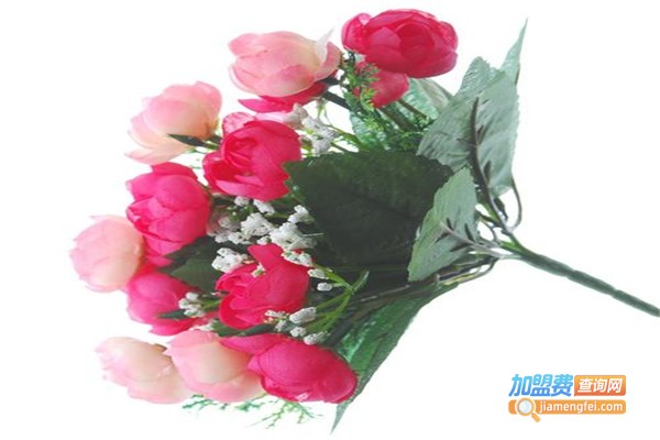 花语录·除甲醛加盟费