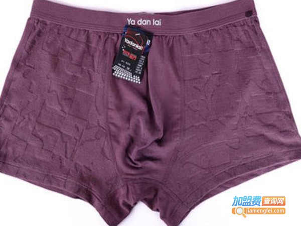 雅丹来内衣加盟费