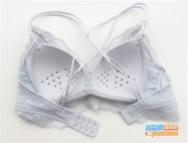 赏姿内衣加盟费