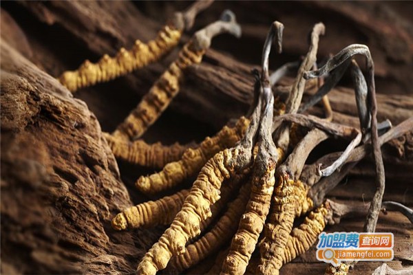 宝恒生物加盟费