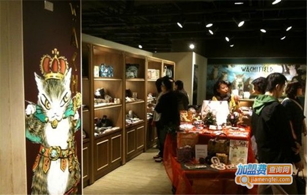 瓦奇菲尔包加盟