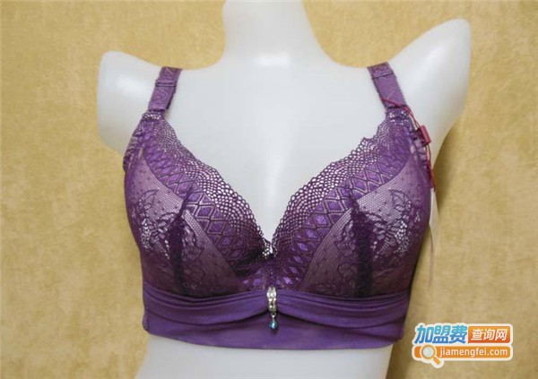 帕丝柔珠内衣加盟费