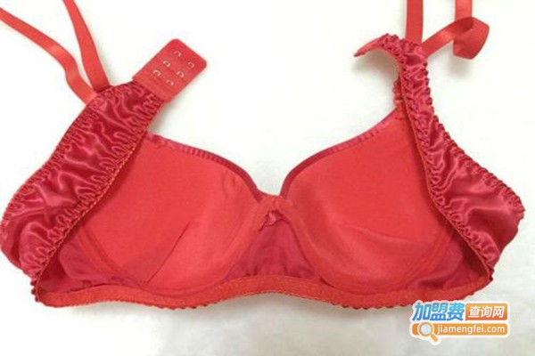 依娇宜内衣加盟门店