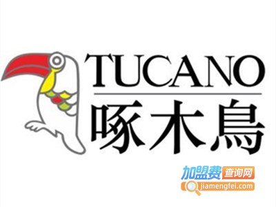 啄木鸟内衣加盟费