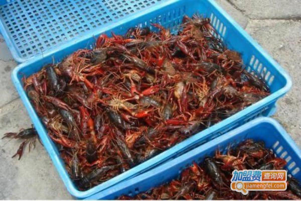 望海水产养殖加盟费