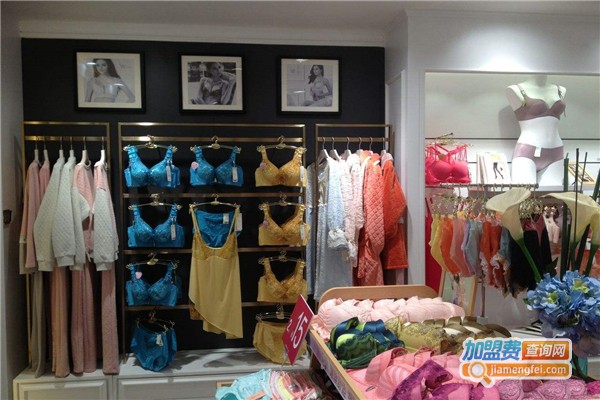 真迪美内衣加盟费