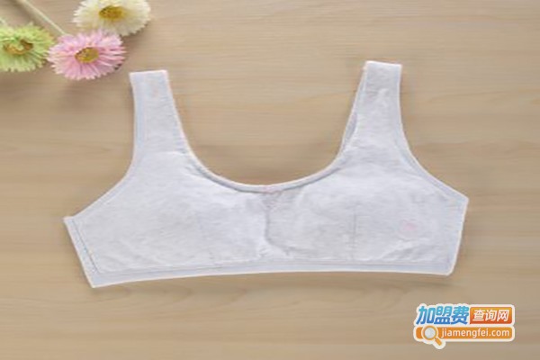 娜戴丝内衣加盟费