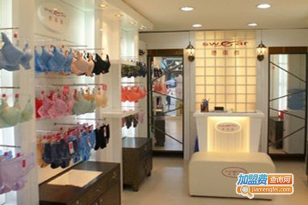 极致内衣加盟门店