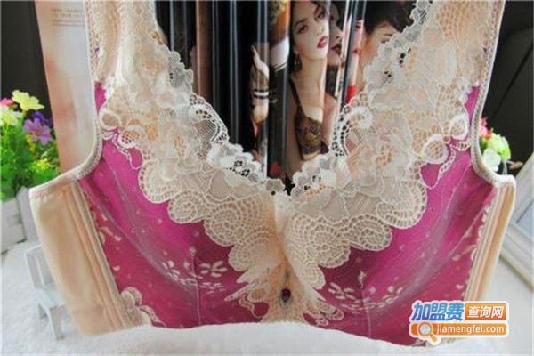 俏佰姿内衣加盟费