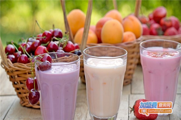 茶公举奶茶加盟费