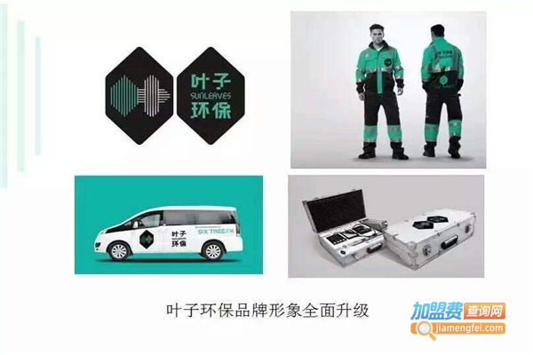 叶子环保除甲醛加盟费