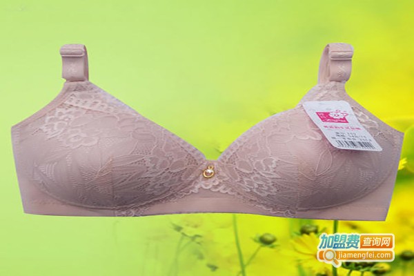 婷玛内衣加盟费