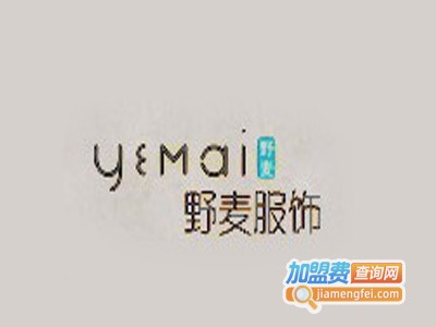 野麦女装加盟费