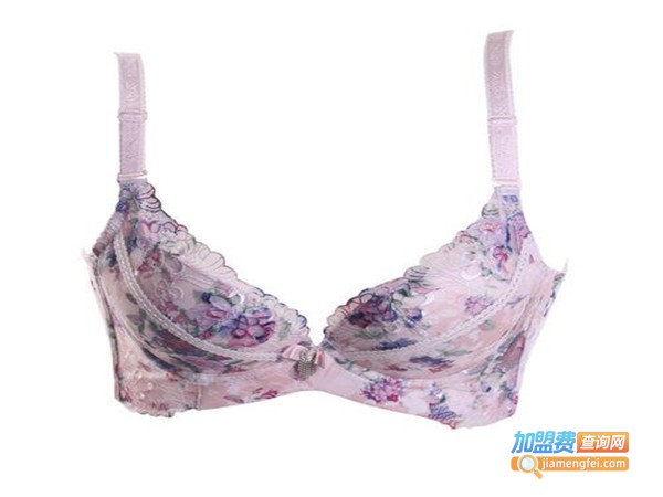 诗丹妮内衣加盟门店