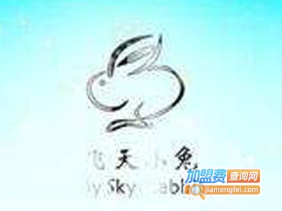 飞天小兔童装加盟费