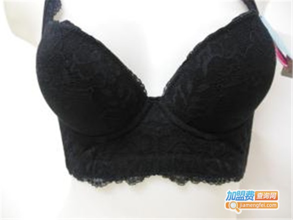 帕丝柔珠内衣加盟费