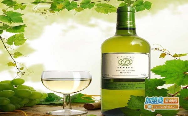 奥蒂尼葡萄酒加盟费