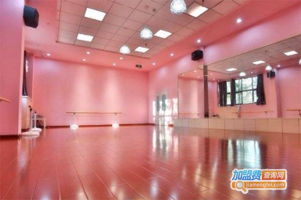 巴罗克艺术培训