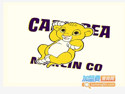 狮子王童装加盟费