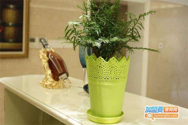 魔壳科技除甲醛加盟费