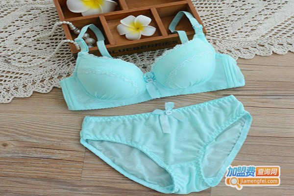 真彩内衣加盟费