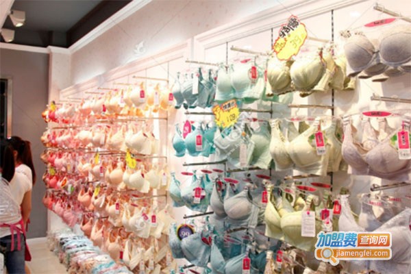 4+PIZ内衣加盟费