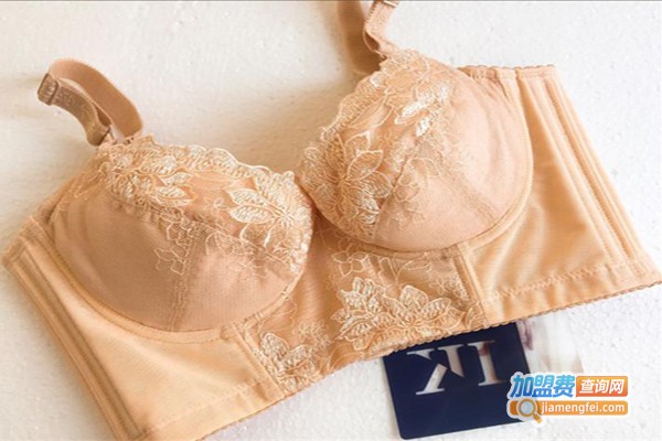 黛芙娜内衣加盟费