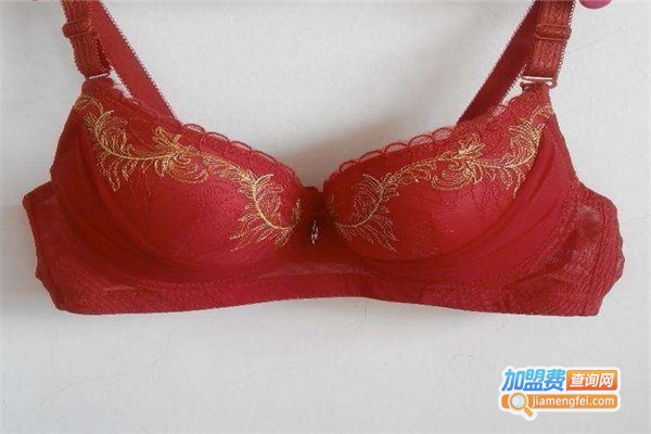 竹丽莱内衣加盟费