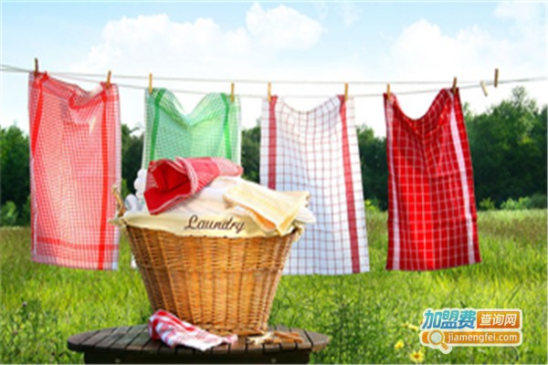 德莱福干洗加盟费