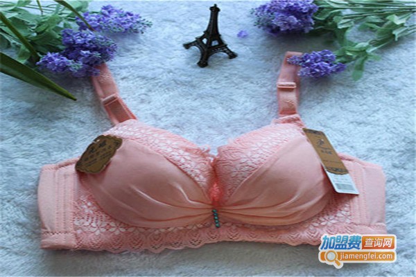 纤婷雅内衣加盟费