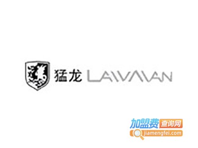 猛龙男装加盟
