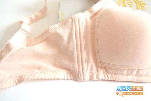 艾妮黛诗内衣加盟费