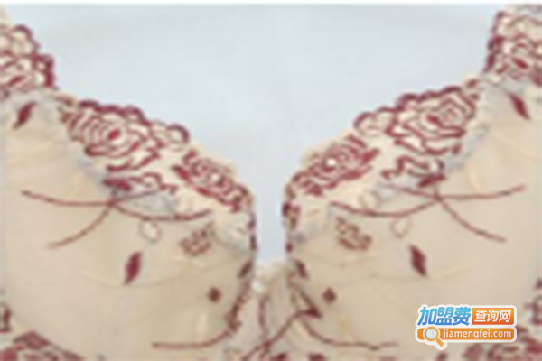 美瑞施修正型内衣