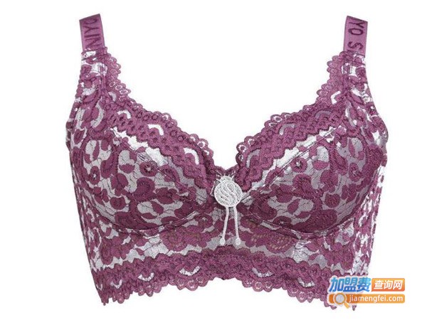 伊莎妮尔内衣加盟费