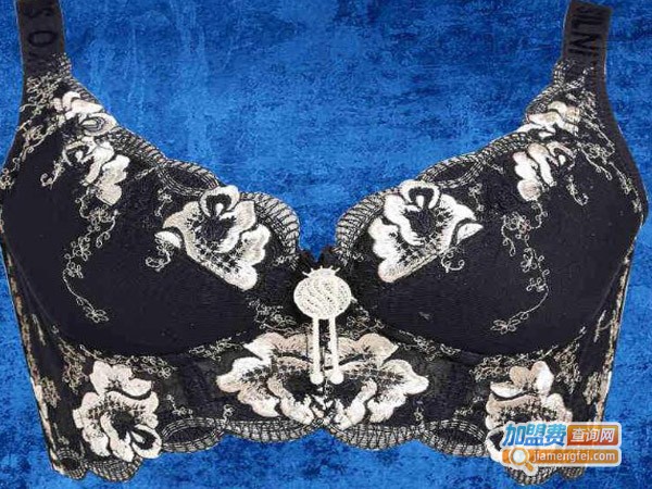 伊莎妮尔内衣加盟费