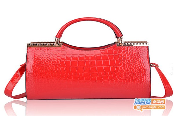 黛露依女包加盟