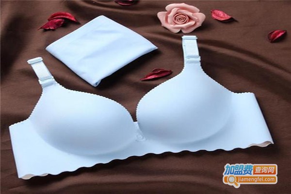 娃诺内衣加盟费