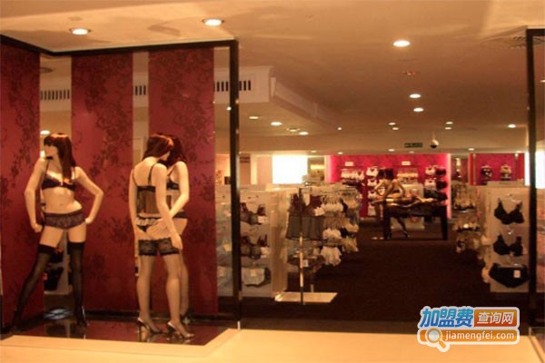 arianne内衣加盟费