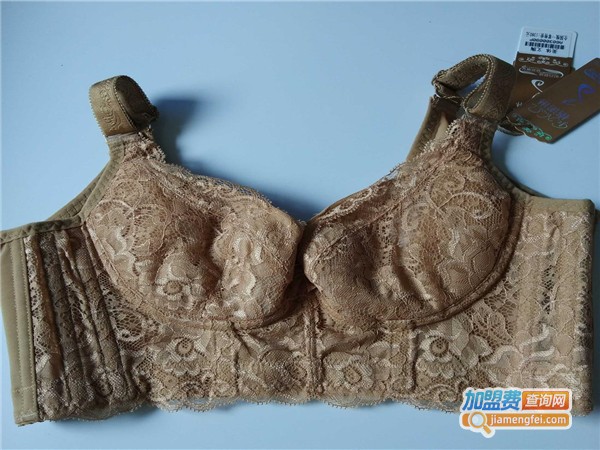 馨感觉内衣加盟门店