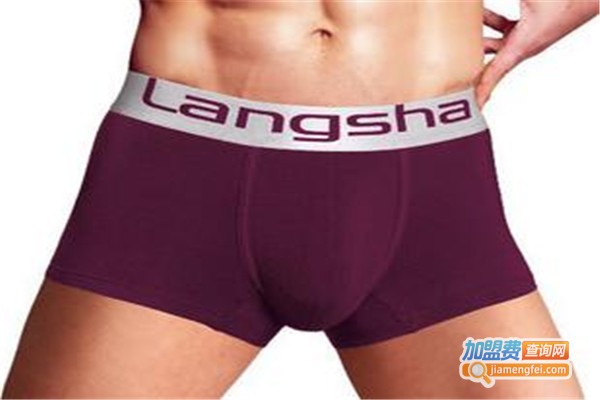 龙之杰忍者内衣加盟费