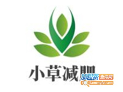 小草减肥加盟费
